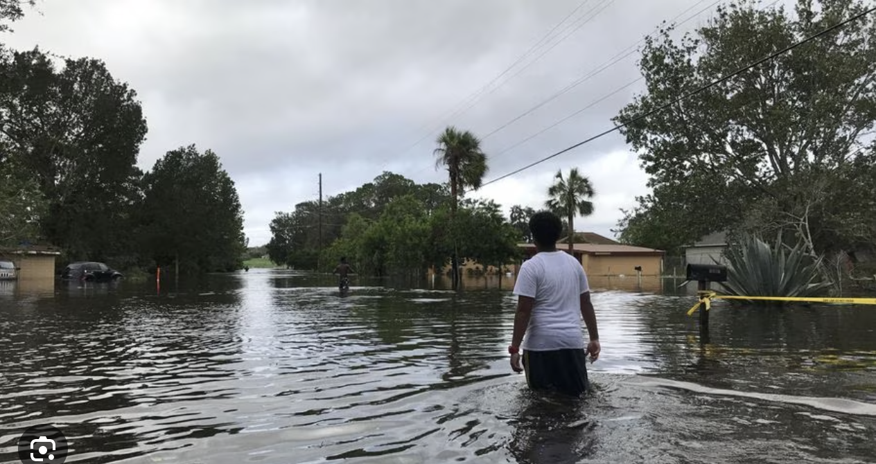 Learn About USDA Disaster Assistance Program - AgroTech Noire